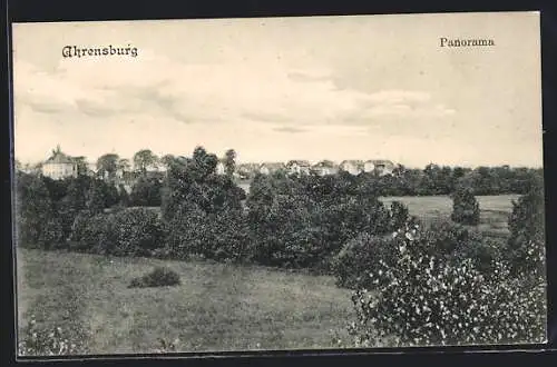 AK Ahrensburg / Holstein, Ortspanorama aus der Ferne