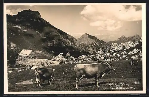 AK Bettlerjoch, Pfälzerhütte und weidende Rinder