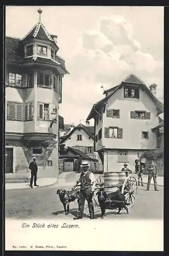 AK Luzern, Herr mit Hundegespann in einer Strasse