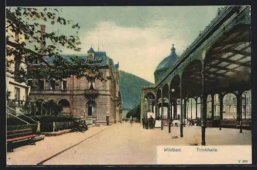 AK Wildbad / Württ., Strassenpartie mit Trinkhalle