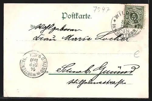 AK Wildbad / Württ., Ortsansicht aus der Vogelschau