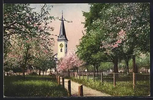 AK Reutin am Bodensee, Baumblüte vor dem Kirchturm