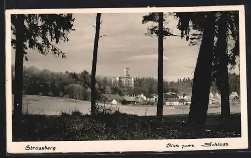 AK Strassberg / Augsburg, Blick zum Schloss