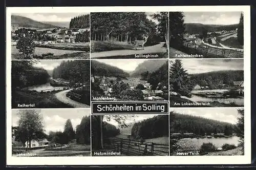 AK Fohlenplacken, Ortsansicht, Sollinghirsch, Reihertal, Lakenhaus, Holzmindetal, Neuer Teich, Am Lakenhausteich