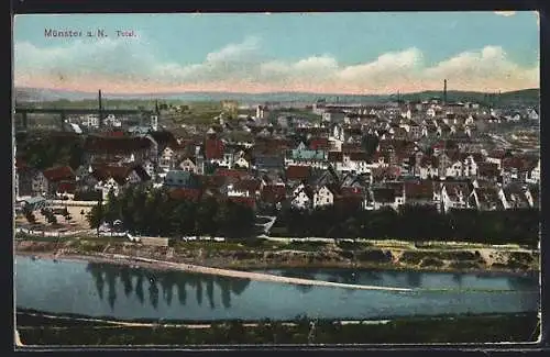 AK Münster a. N., Totalansicht mit Kirche