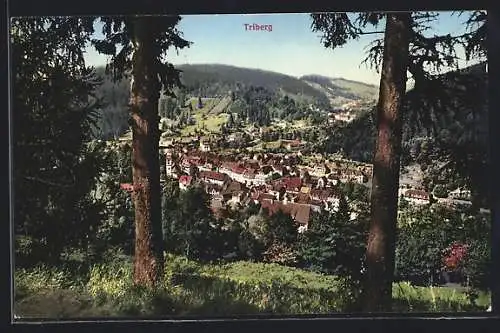 AK Triberg, Teilansicht mit Bäumen