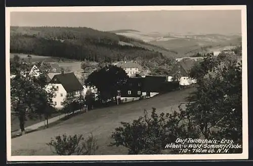 AK Falkenhain / Erzgeb., Gesamtansicht von einem Berg aus