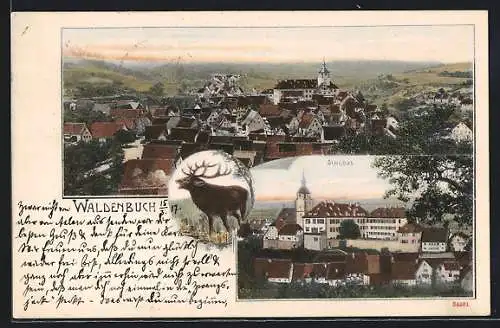 AK Waldenbuch, Schloss und Blick über die Dächer