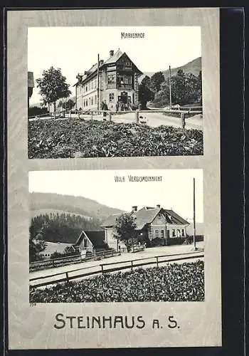 AK Steinhaus a. S., Marienhof, Villa Vergissmeinnicht