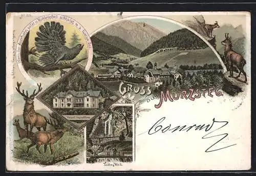 Lithographie Mürzsteg, Kaiserliches Jagdschloss, Todtes Weib, Ortsansicht, Auerhahn