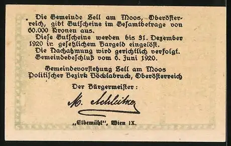 Notgeld Zell am Moos 1920, 20 Heller, Ortspartie