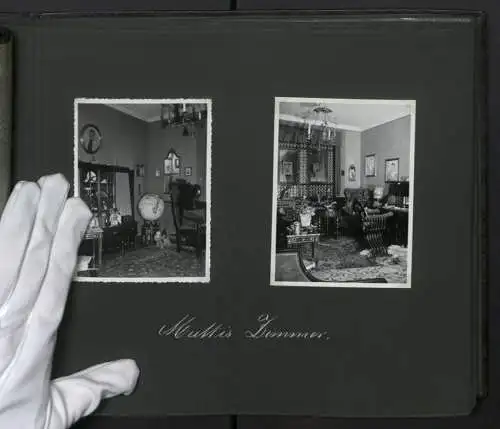 Fotoalbum mit 115 Fotografien, Ansicht Erfurt, Geschäfts und Wohnhaus Kohlen Schoenheinz in der Neuwerkstrasse 16