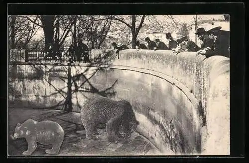 AK Bern, Bärengraben mit Zuschauern