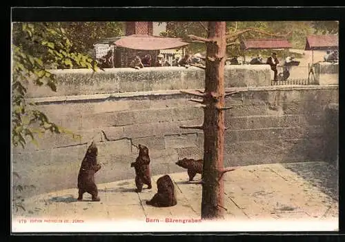AK Bern, Bärengraben im Sonnenschein