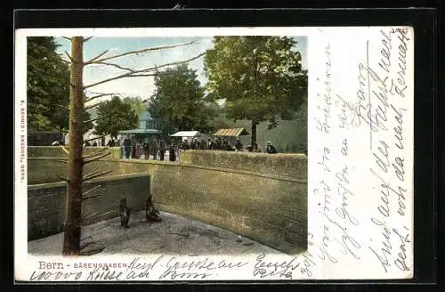 AK Bern, Bärengraben mit stehendem Bär