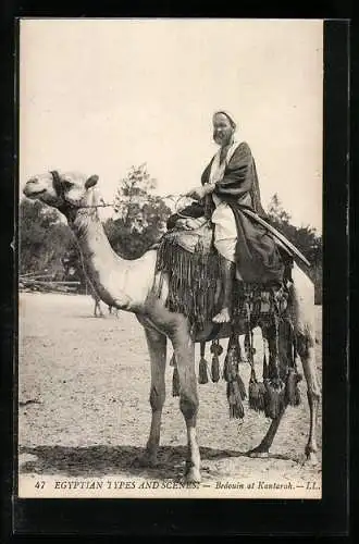AK Kantarah, Beduine mit Kamel