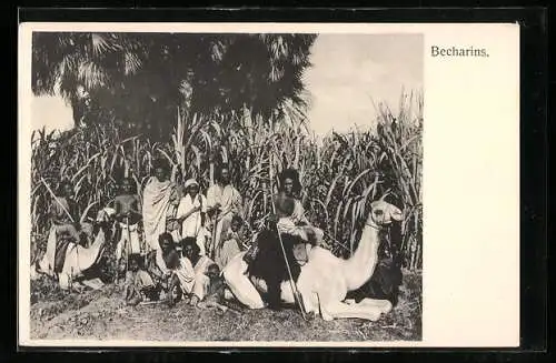 AK arabische Volkstypen, Becharins