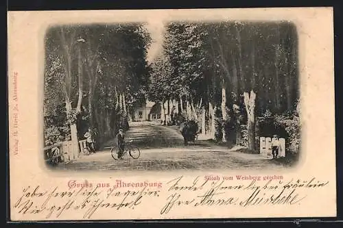 AK Ahrensburg / Holstein, Siloah vom Weinberg gesehen