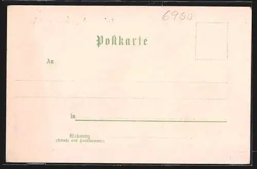 Lithographie Heidelberg / Neckar, Totalansicht