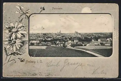 AK Freiberg i. S., Ortsansicht am Tag