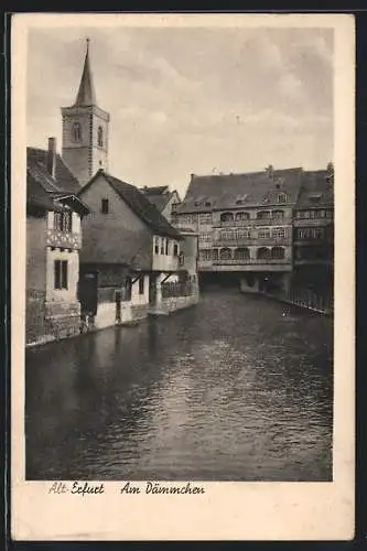 AK Alt-Erfurt, Am Dämmchen