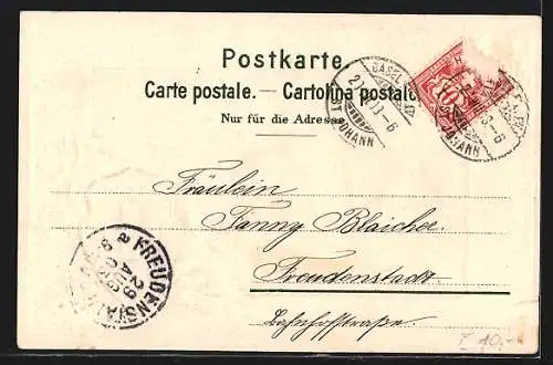 Passepartout-Lithographie Basel, Totalansicht, Schweizer Wappen