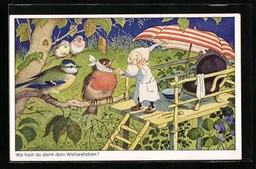 Künstler-AK Fritz Baumgarten: Wo hast du denn dein Wehwehchen?, Wichteldoktor behandelt kranke Vögel