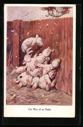 Künstler-AK George Ernest Studdy: Bonzo, Jagd nach einem Truthahn