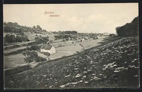 AK Buchen / Baden, Blick ins Mühltal