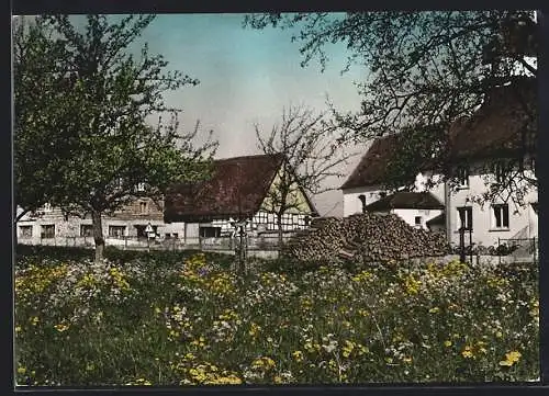 AK Oberhomberg /Überlingen, Ortspartie auf einer blühenden Wiese