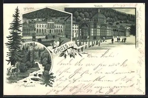 Lithographie Wildbad / Schwarzwald, Königliches Karlsbad, Trinkhalle, Wasserfall