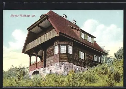 AK Wallbach / Brensbach, Hotel-Pension Haus Halali