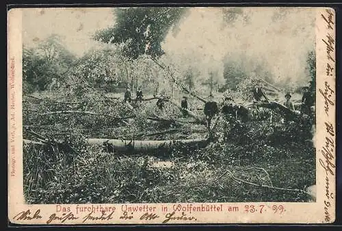 AK Wolfenbüttel, Unwetter 1899, Ortspartie mit umgestürzten Bäumen