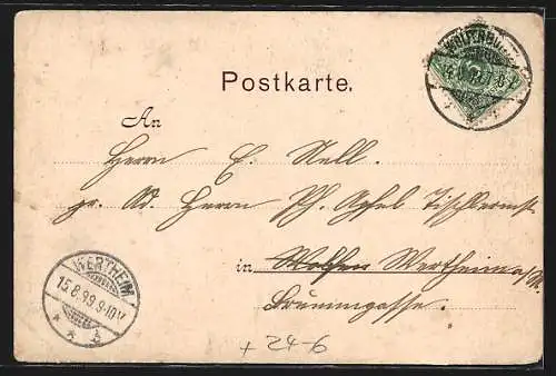 AK Wolfenbüttel, Unwetter 1899, Ortspartie mit umgestürzten Bäumen