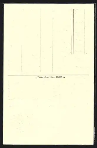 AK Bad Schallerbach /O.-Oe., Ansicht vom Linzerheim