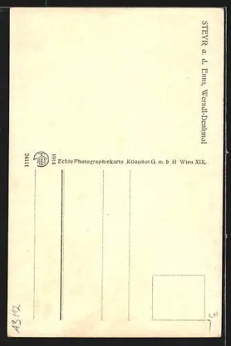 AK Steyr a. d. Enns, Werndl-Denkmal mit Kränzen