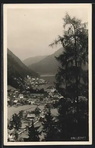 AK Hallstatt, Ortsansicht aus der Vogelschau