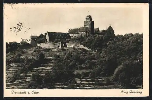 AK Neustadt i. Odw., Blick auf Burg Breuberg