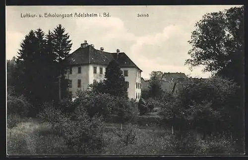 AK Adelsheim i. Bd., Schloss mit Umgebung