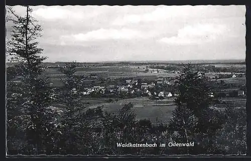 AK Waldkatzenbach /Odenwald, Gesamtansicht aus der Vogelschau