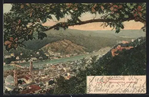 AK Heidelberg / Neckar, Gesamtansicht von der Sprunghöhe aus