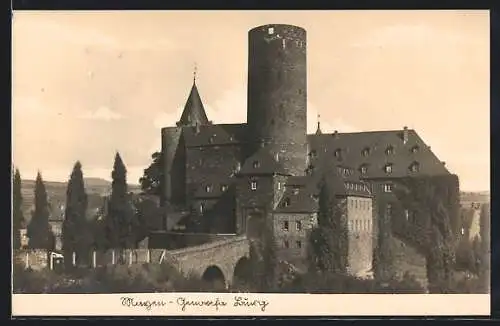 AK Mayen, Genoveva-Burg mit Burgmauer