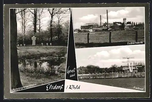 AK Elsdorf /Rhld., Zuckerfabrik, Freibad, Kriegsgräberstätte