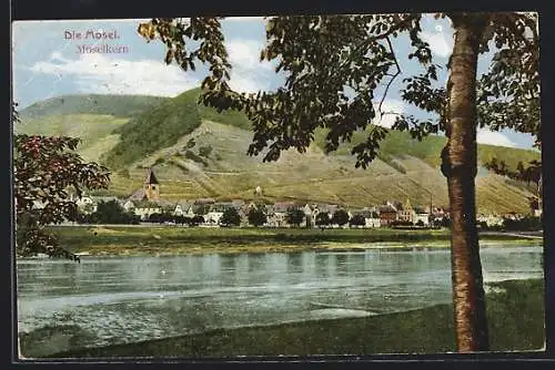 AK Moselkern, Ortspanorama mit Mosel