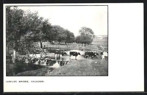 AK Caledon, Jubilee Bridge