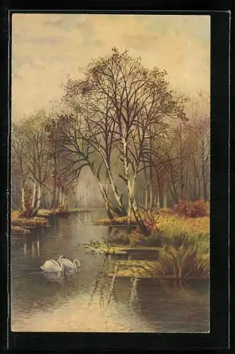 Künstler-AK Wenau-Pastell Nr. 1247: Zwei Schwäne auf dem Wasser