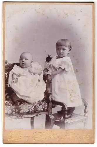 Fotografie Willy Wilcke, Hamburg, Steindamm 62, Baby und Kleinkind in weissen Kleidern
