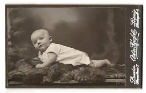 Fotografie Atelier Herzfeld, Dresden, Pragerstr. 7, Die kleine Elisabeth Hauswald im weissen Gewand auf einem Pelz