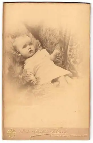 Fotografie Jean Baptiste Feilner, Braunschweig, Wilhelmstr. 88, Die kleine Trudel im weissen Gewand auf einem Pelz