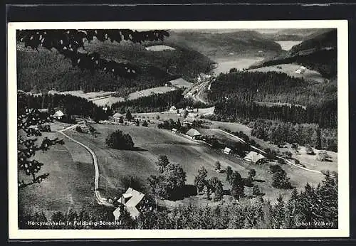 AK Feldberg-Bärental, Blick auf Hercynenheim